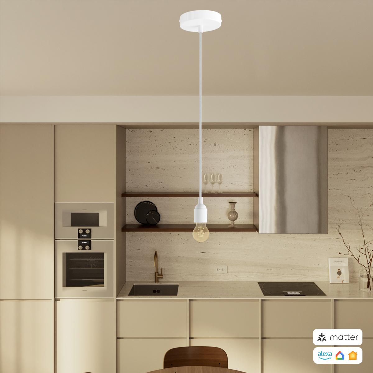 PENDEL CONFIG MATTER 12412