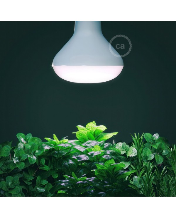 LED Lamp for Plants Growing 12W E27