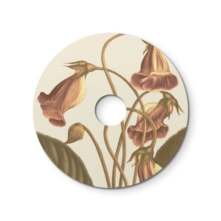 Ellepì mini flat lampshade with floral designs 'Blossom Haven', 24 cm diameter - Made in Italy - Botanical Gloxinia