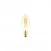 LED Golden Light Bulb Carbon Line Filament Cage Candle C35 3,5W 300Lm E14 2700K Dimmable - C51