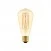 LED Golden Light Bulb Carbon Line Filament Cage Edison ST64 7W 640Lm E27 2700K Dimmable - C54