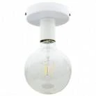 Fermaluce Metal,wall or ceiling flush light