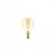 LED Golden Light Bulb Carbon Line Filament Cage Mini Globe G45 3,4W 300Lm E14 2700K Dimmable - C52