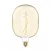 LED Golden Light Bulb Ellipse 170 8,8W 806Lm E27 2200K Dimmable - H04