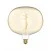 LED Golden Light Bulb Ellipse 220 8,8W 806Lm E27 2200K Dimmable - H05