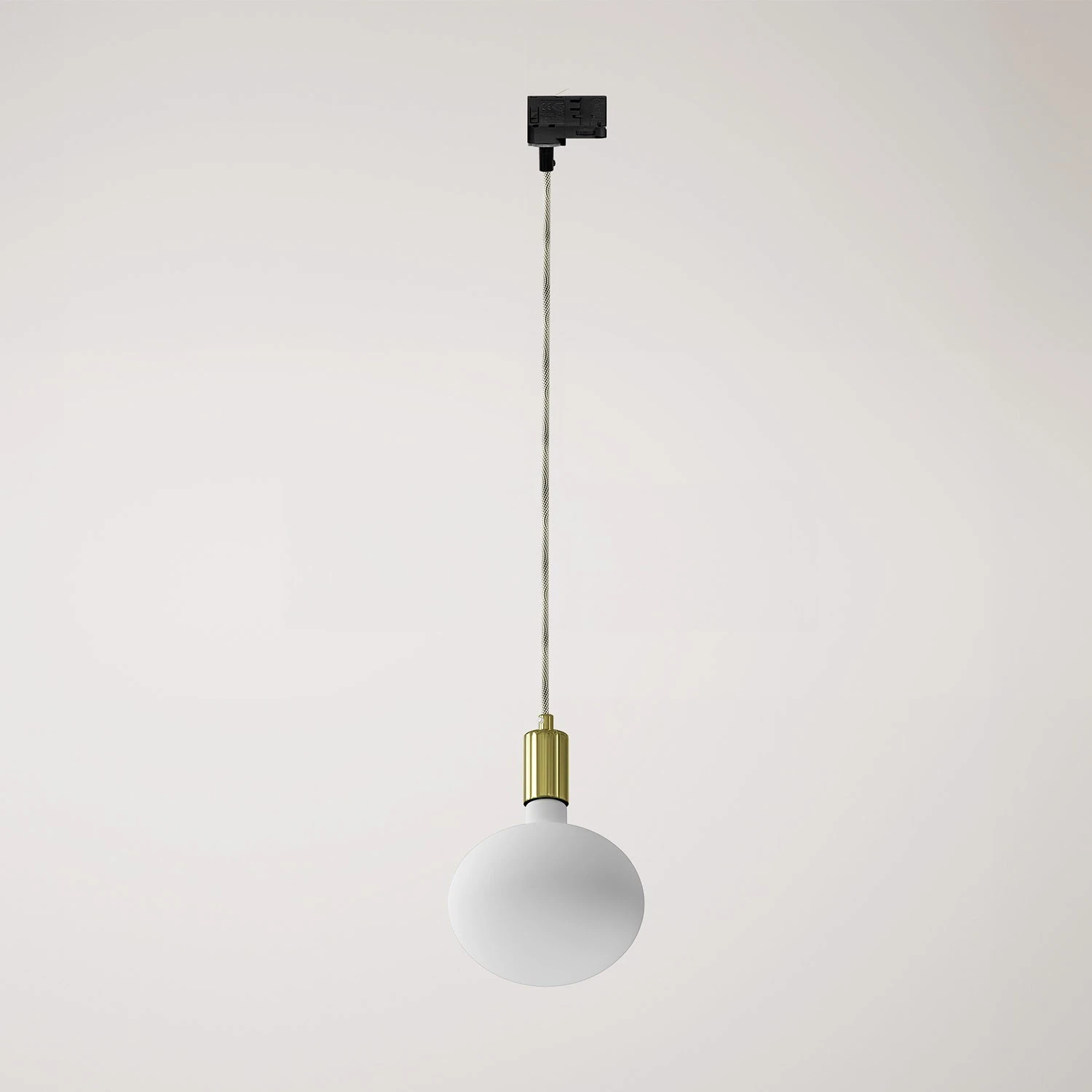 Metal track pendant lamp with contrasting finish