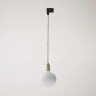 Metal track pendant lamp with contrasting finish