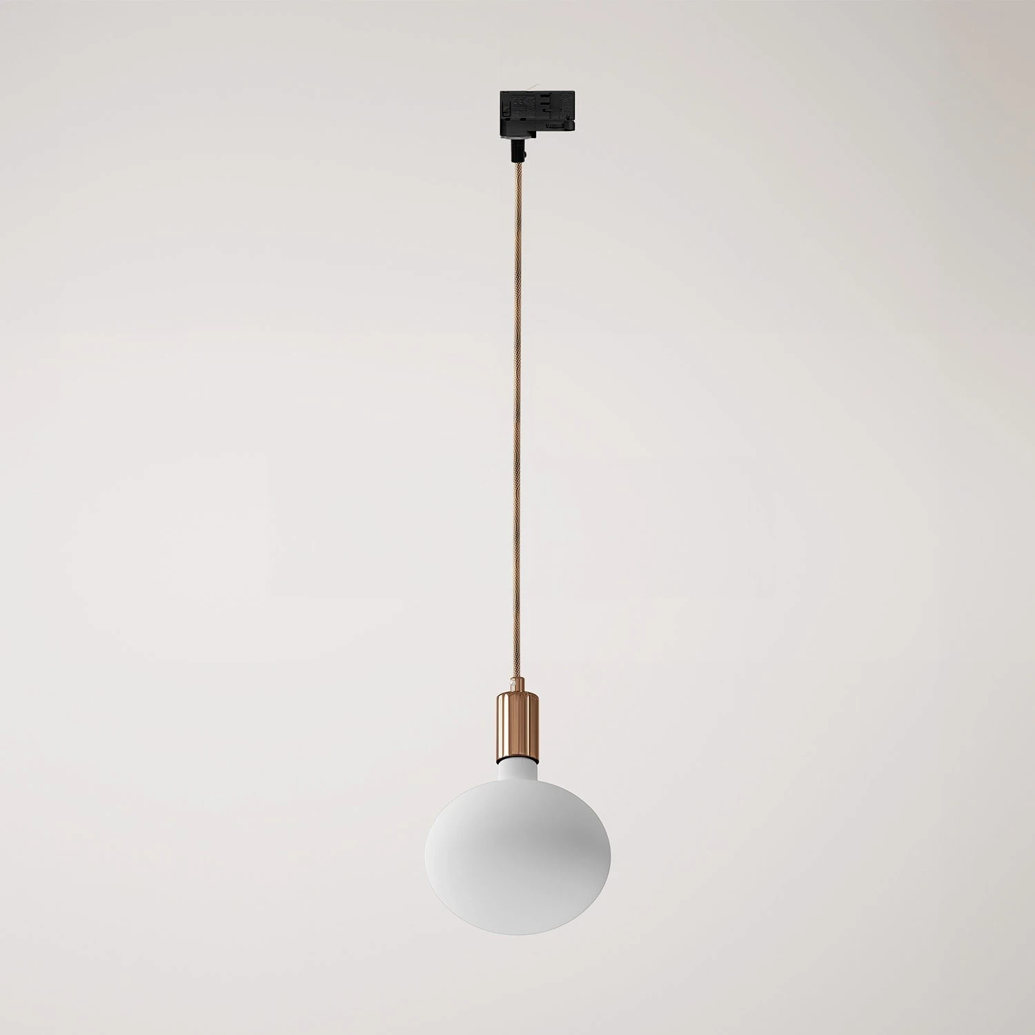 Metal track pendant lamp with contrasting finish