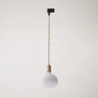 Metal track pendant lamp with contrasting finish