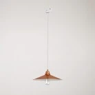 Pendant lamp with Swing shade for tracks