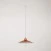 Pendant lamp with Swing shade for tracks