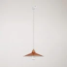 Pendant lamp with Swing shade for tracks