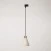Track pendant lamp with conical wooden shade