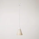 Track pendant lamp with conical wooden shade