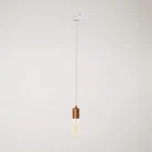 Pendant lamp with satin metal track trim