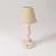 Portable and rechargeable Cabless14 Lamp with droplet bulb and lampshade