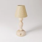 Portable and rechargeable Cabless14 Lamp with droplet bulb and lampshade