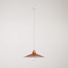 Pendant lamp with Swing shade for tracks