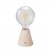 Portable and rechargeable Cabless01 LED lamp with G125 Globe light bulb