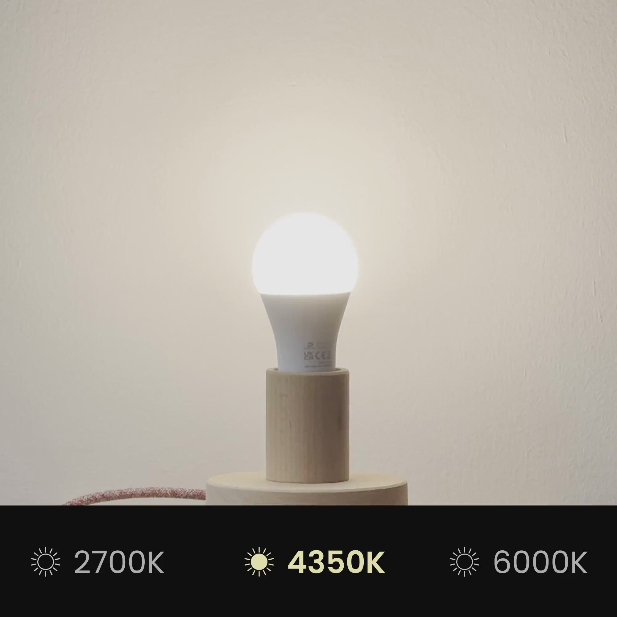 Load video: Athena lampshade with E27 fitting for table lamp - Made in Italy - Black Cinette with Gold interior