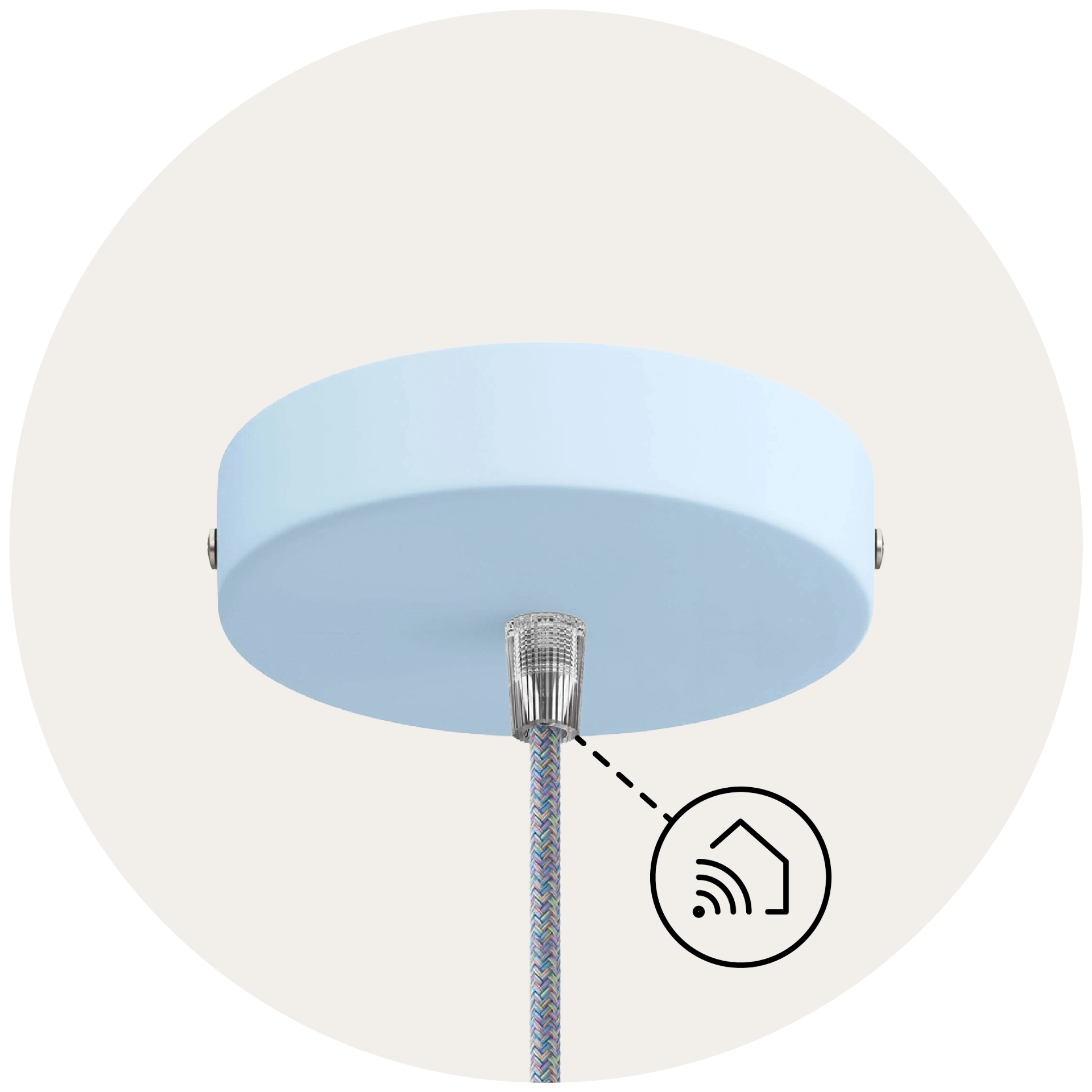 Smart ceiling roses